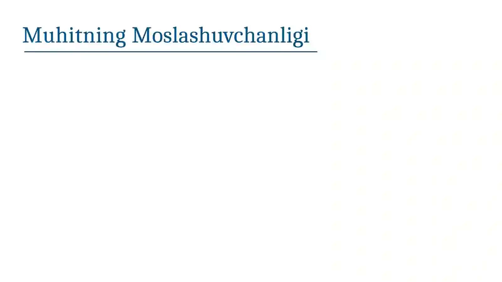 Rivojlantiruvchi muhit nima? 4