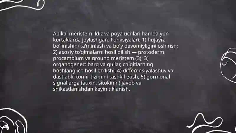 Hosil qiluvchi to'qimaning tuzilishi va vazifalari 4