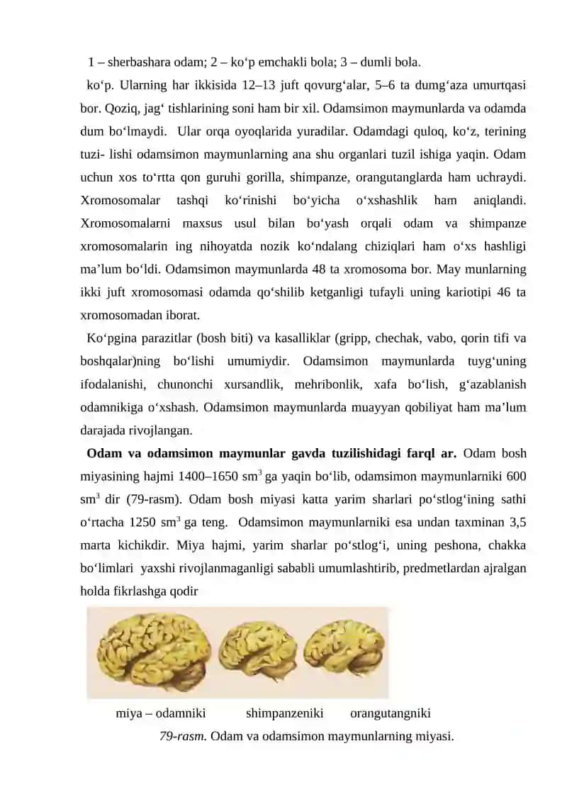 Odam Evalyutsiyasi 4