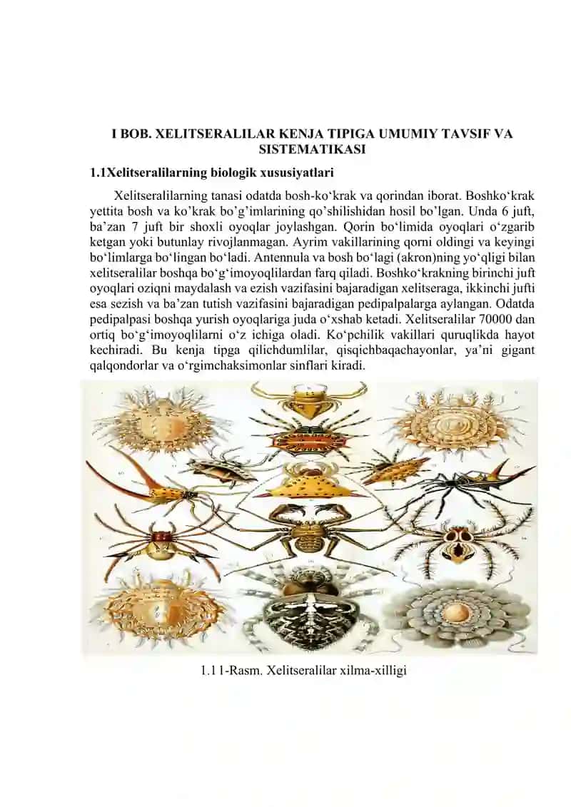 Xellitseralilar (chelitserata) kenja tipi sistematikasi, filogenetikasi va ekologiyasi 4