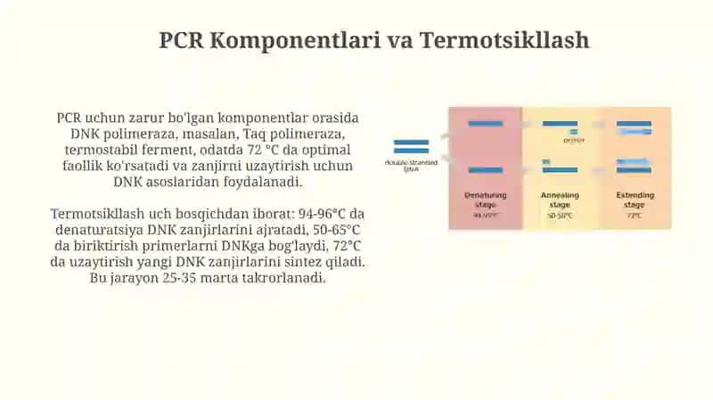 Polimeraza Zanjir reaksiyasi 4