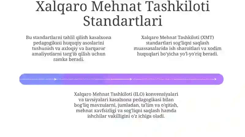 Xorijiy mamlakatlarda gospital pedagogikaning huquqiy asoslarini xalqari hujjatlarda tahlil qilish 4