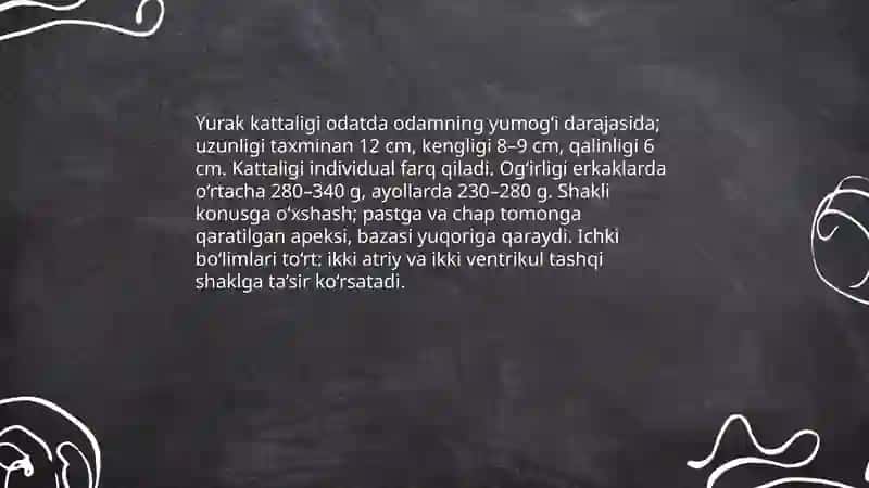 Yurakning morfo-funksional tavsifi 4