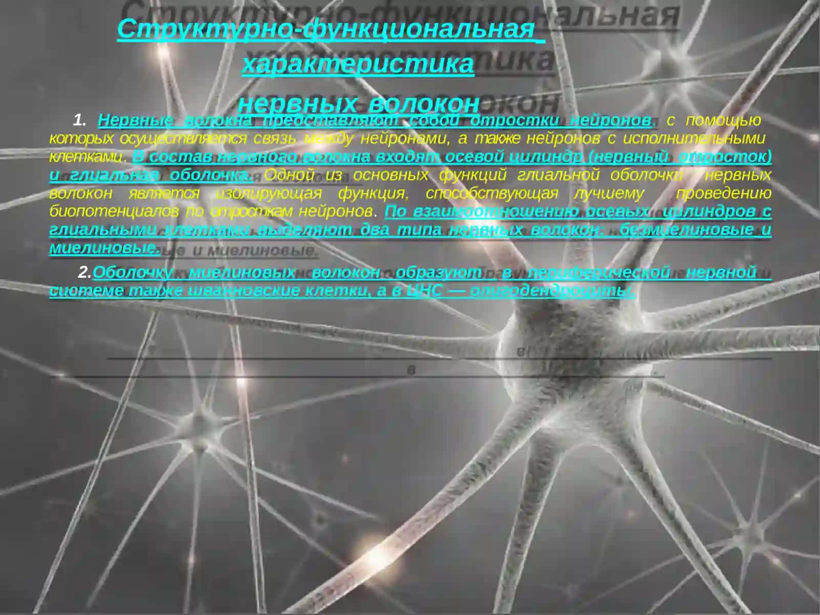 Проводимость как специфическое свойство возбудимых тканей 4