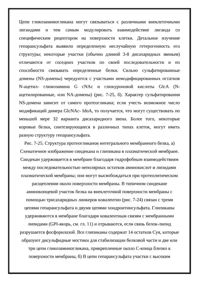 Строение гликолипидов и гликопротеинов 4