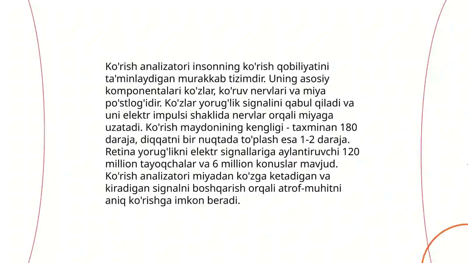 Ko'rish analizatori: anatomiyasi 4