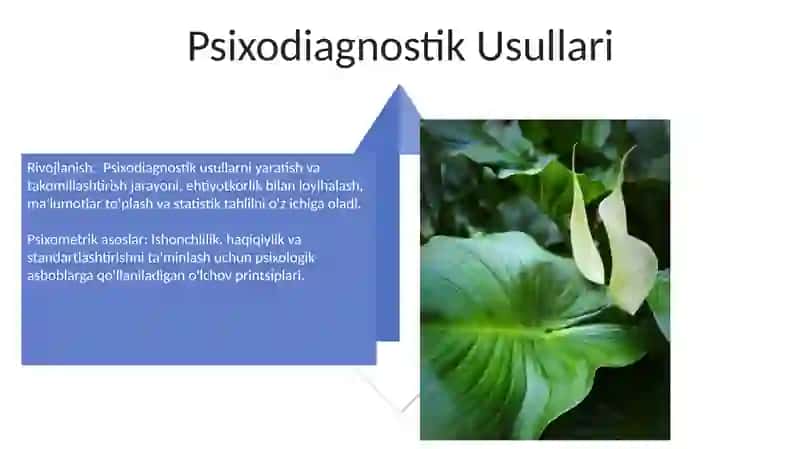 Psixodiagnostika metodikalarini ishlab chiqishning psixometrik asoslari 4