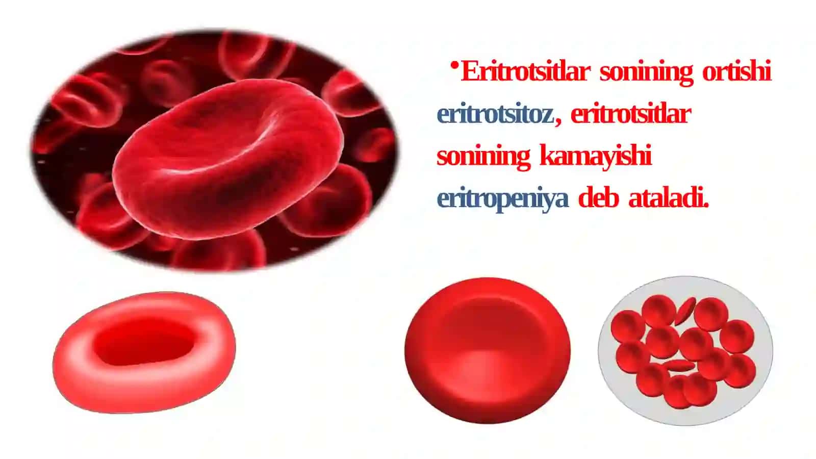 ERITROTSITLAR FIZIOLOGIYASI. GEMOGLABIN ERITROTSIT 4