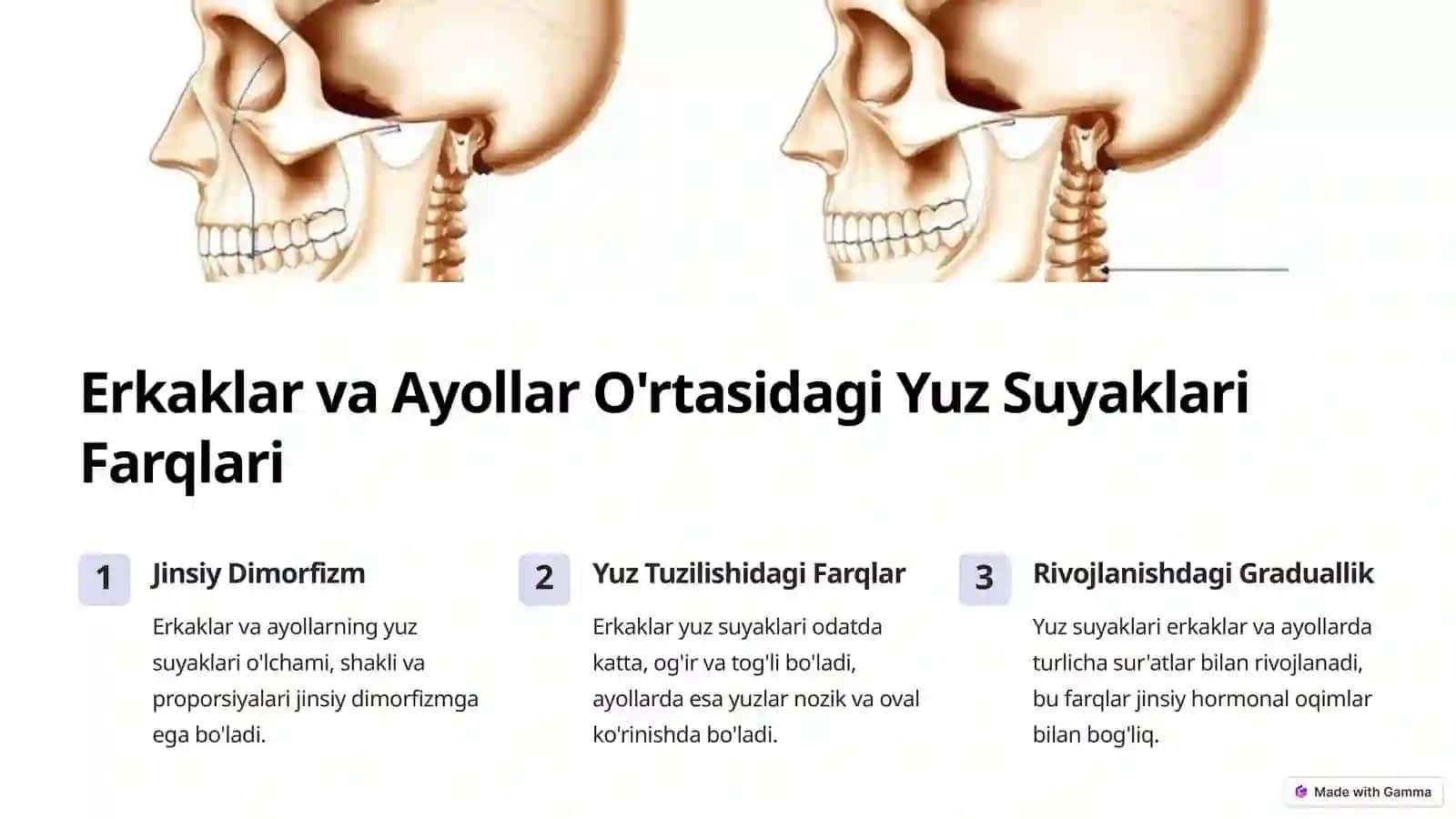 Yuz suyaklari: Yoshga va Jinsga ko'ra farqlari 4
