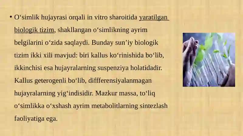 Transgen o’simlik va hayvonlarni yaratish va ulardan foydalanishning etik jihatlari 4