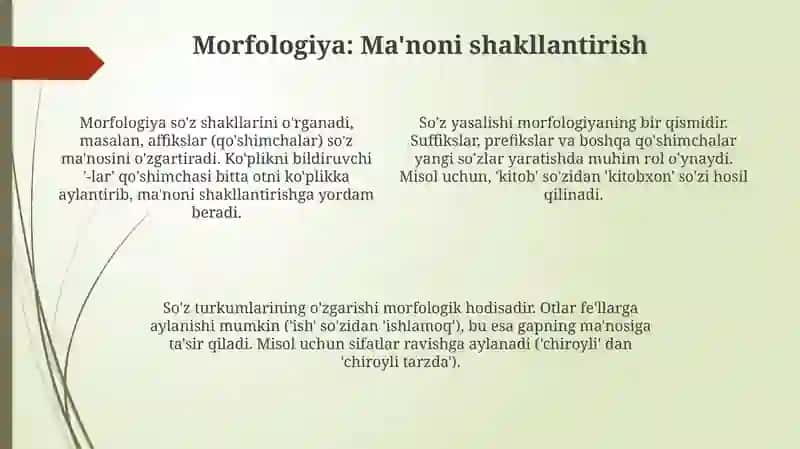 Grammatik ma’noni ifodalovchi vositalar 4