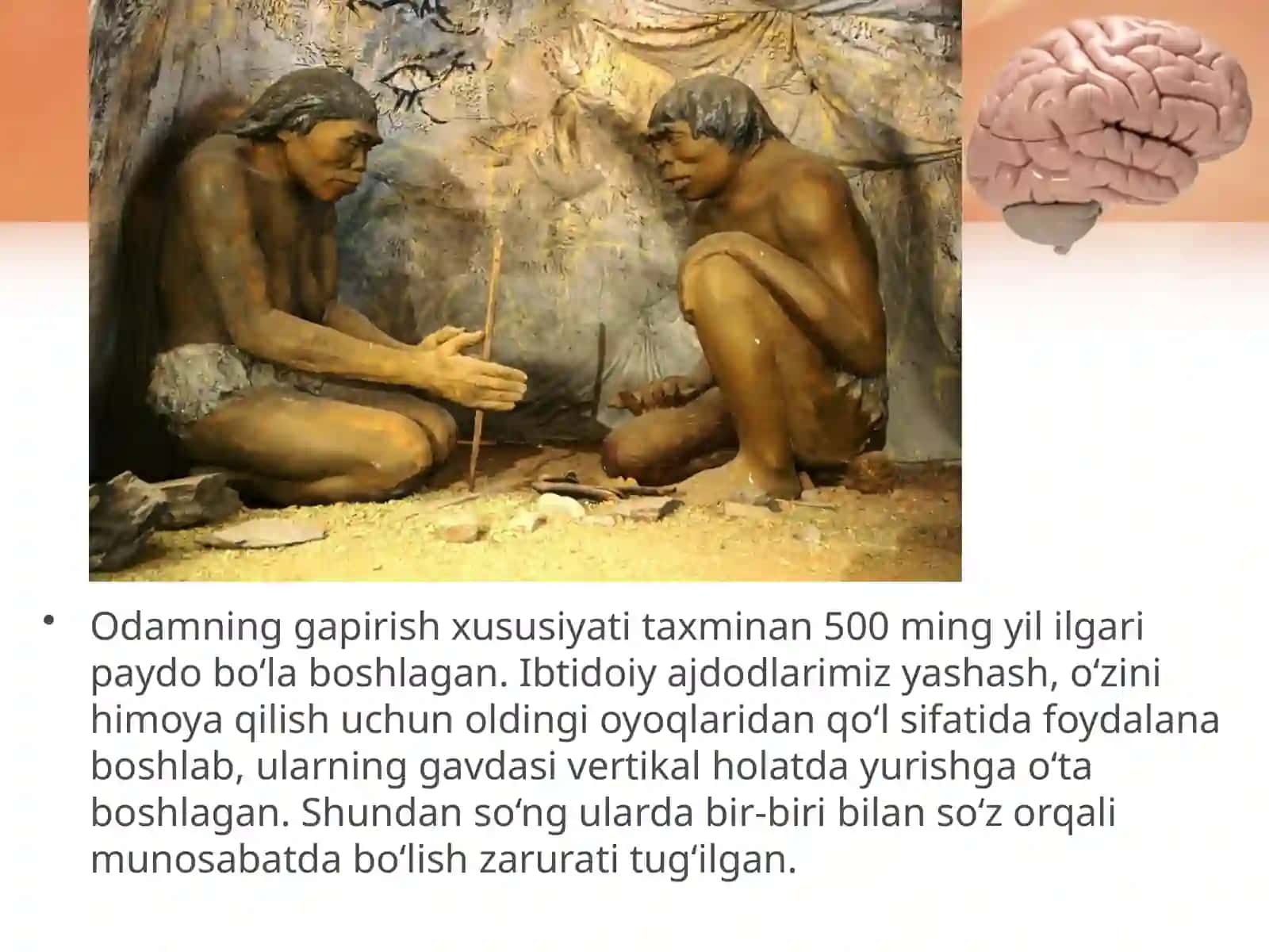 Odam va uning salomatligi 4
