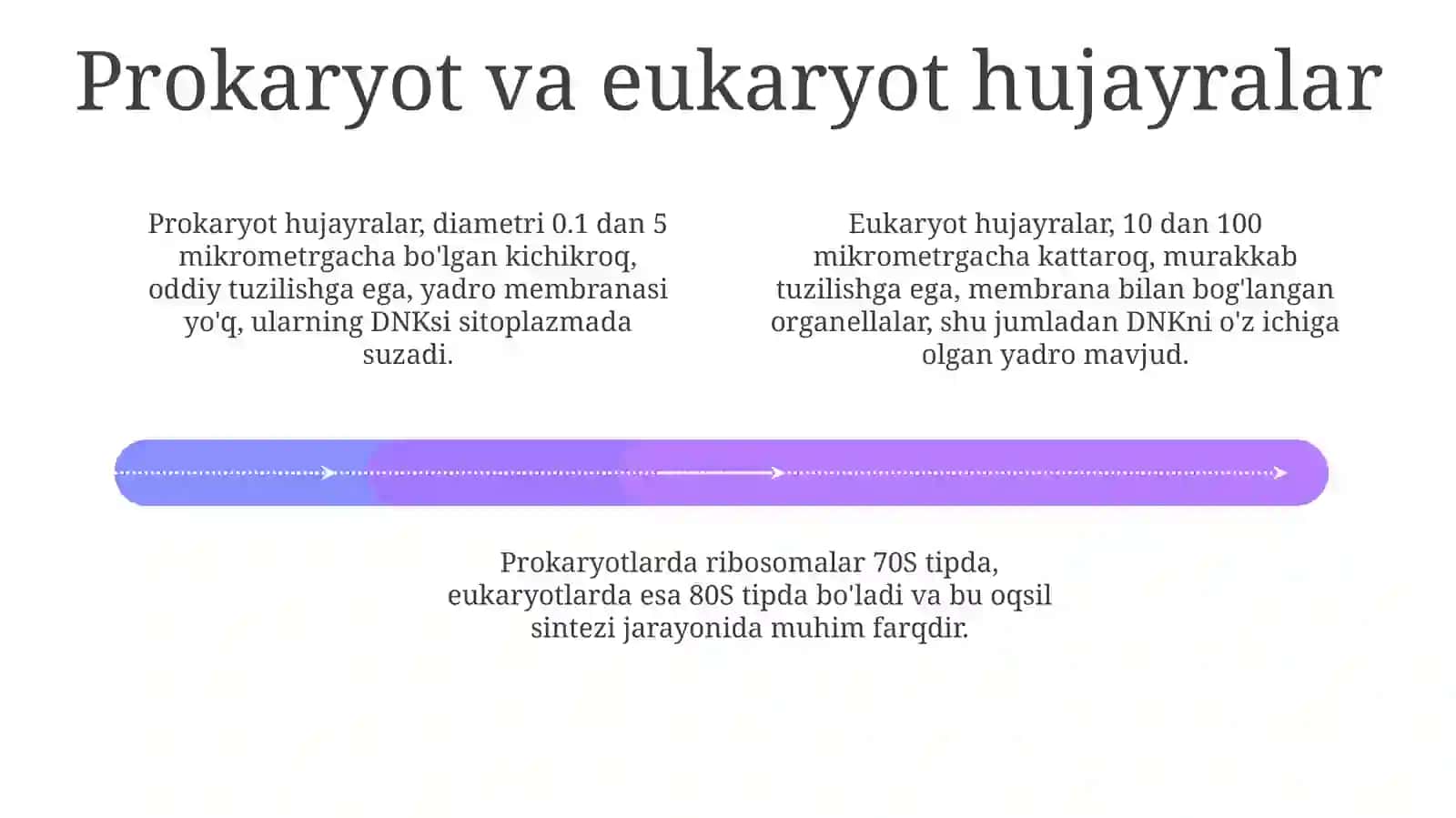 Hujayra tuzilishi va asosiy funktsiyalari 4
