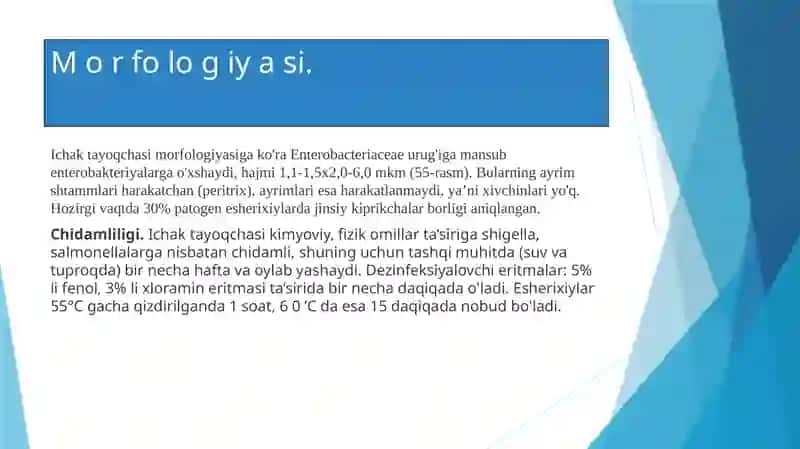 Ichakbakteriyalar oilasi ga kiruvchi qo’zg’atuvchilar haqida tushuncha 4