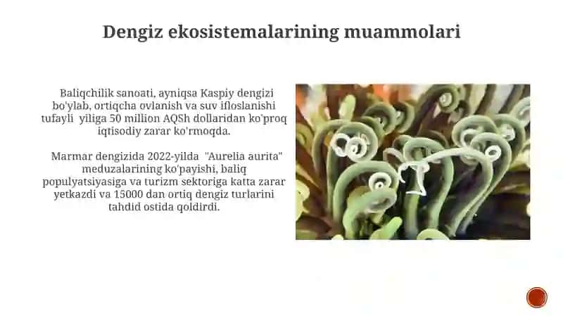 Chuchuk suv vs dengiz ekotizimlari 4