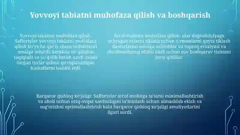 Safforiylar Davlati 4