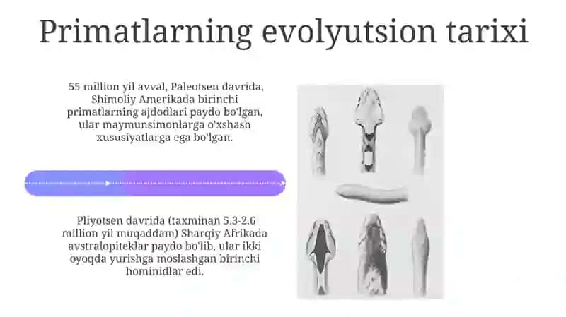 Evolyutsiya jarayoni va uning umumiy qonuniyatlari 4