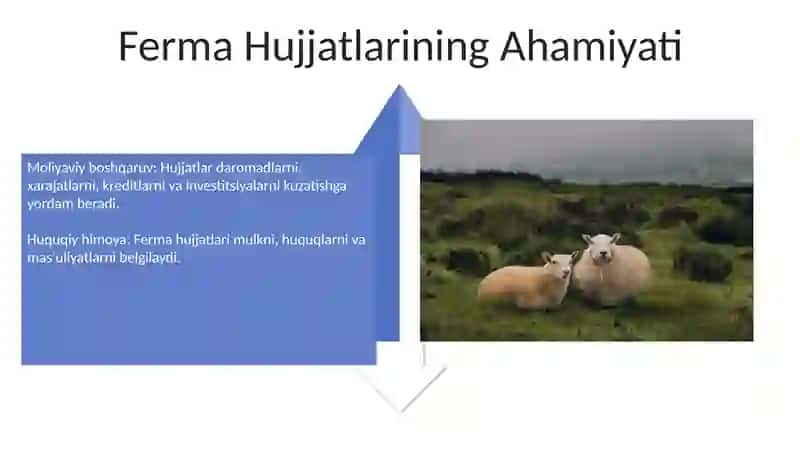 Farmoyish hujjatlari va ularning turlari 4