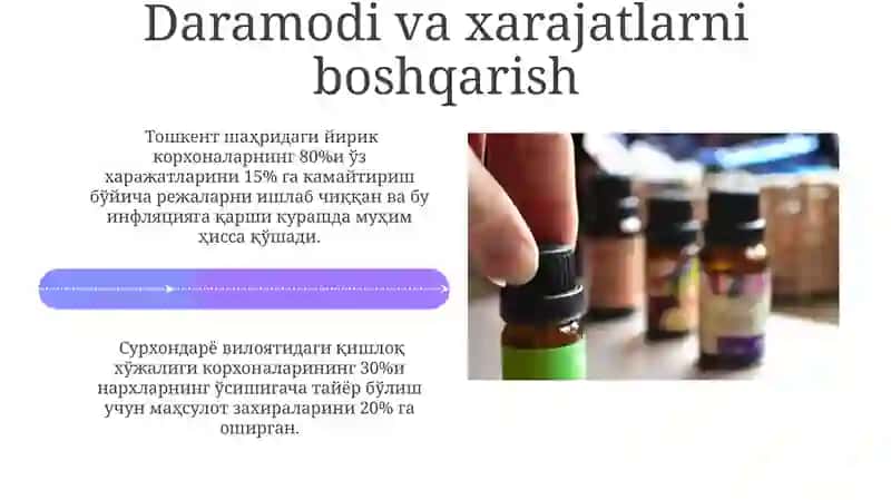 Inflyatsiya va inflatsiyaga qarshi siyosatning mohiyati 4