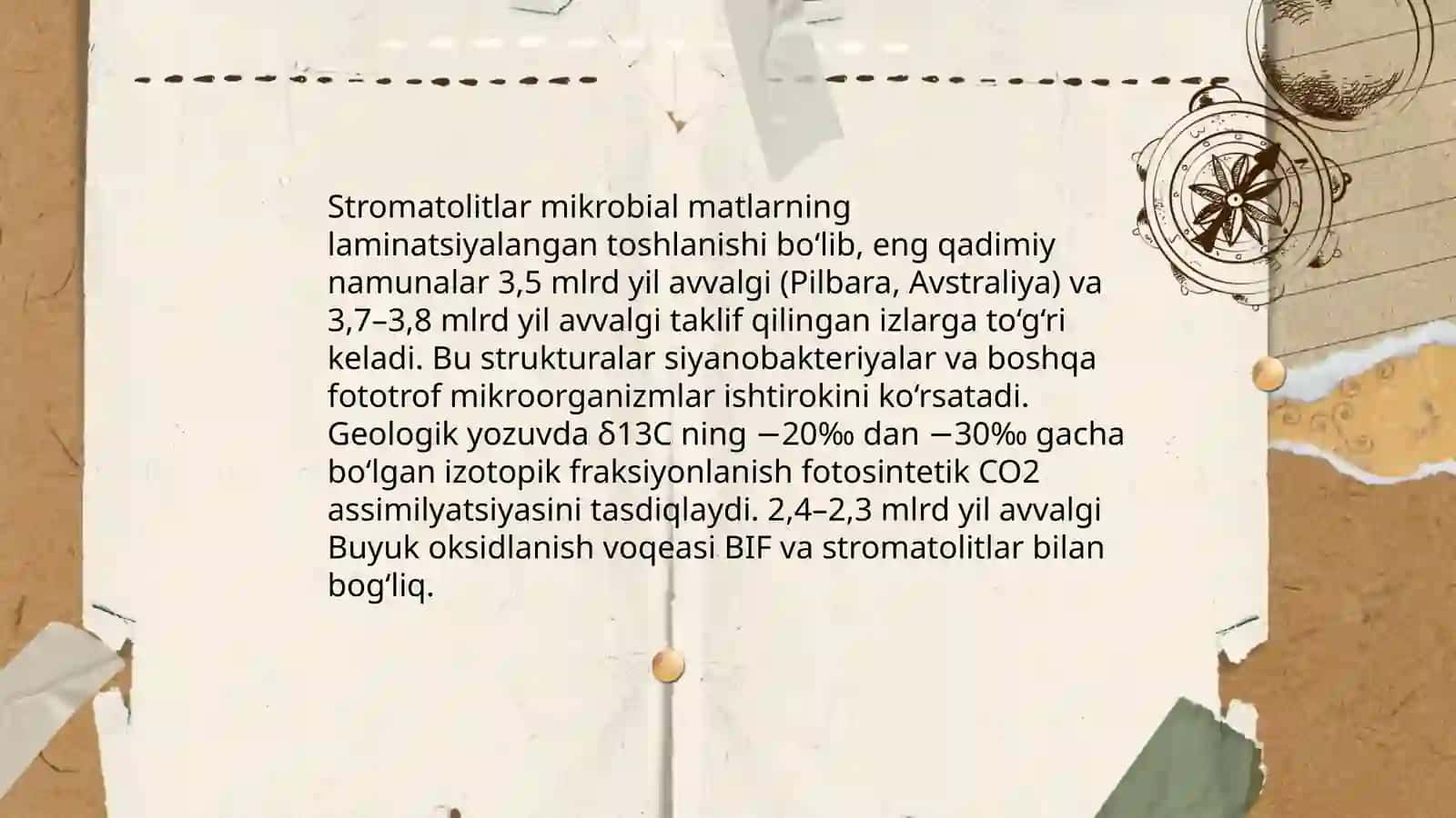 Yer sharida o'simlik dunyosini paydo bo'lishi 4