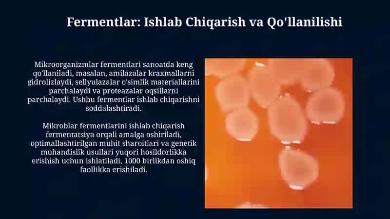 Mikroorganizmlarning hayot faoliyatida ishlab chiqaradigan mahsulotlari 4