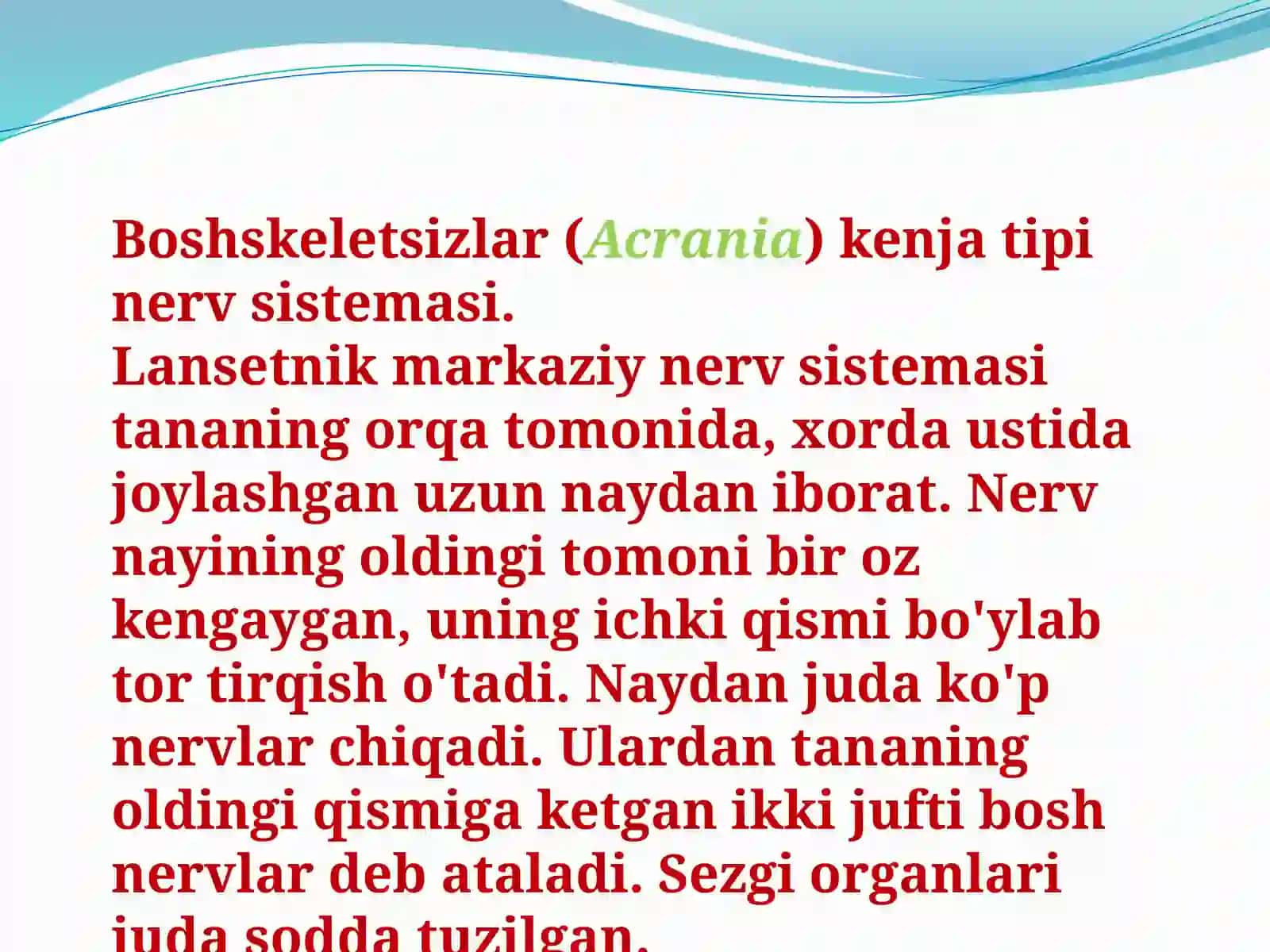 Umurtqalilarmarkaziyasabtiziminingtuzilishi 4