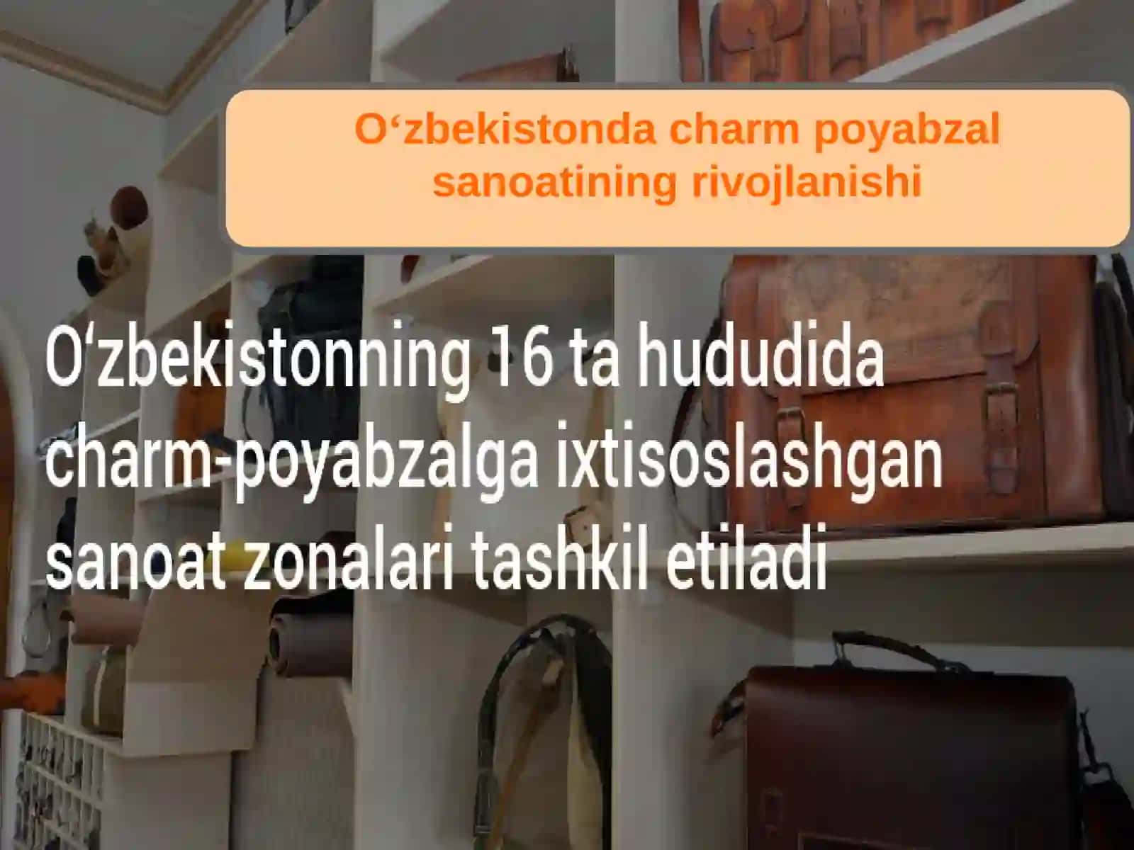 O‘zbekistondacharm-poyabzalsanoatiningrivojlanishi 4