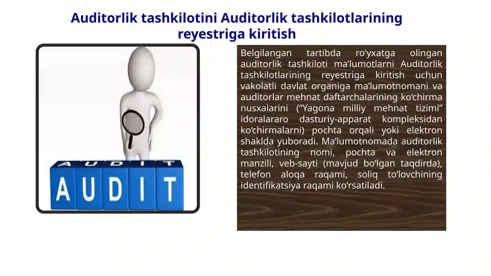 Auditorlar Reyestri 4