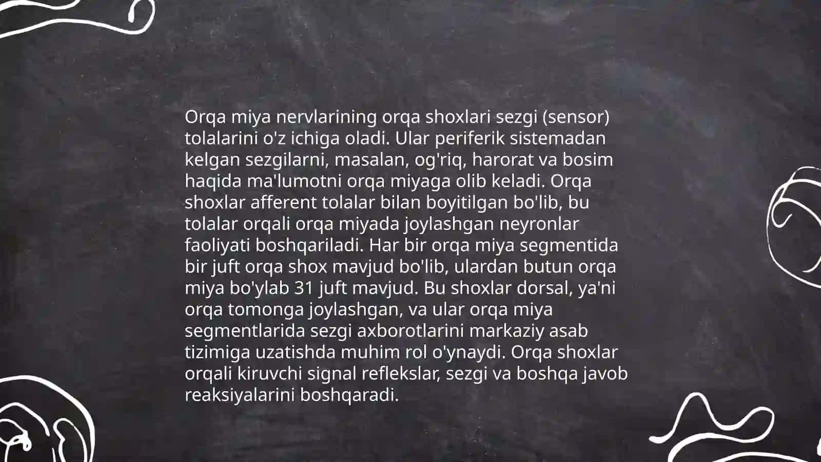 Orqa miya nervlarining hosil boʻlishi 4