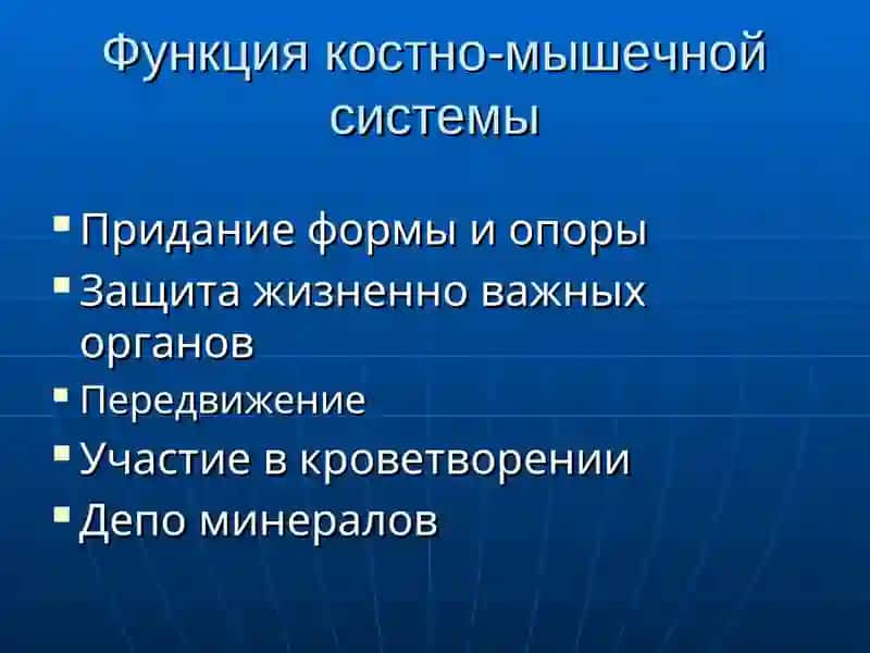 Оказание помощи при повреждениях костно-мышечной системы 4