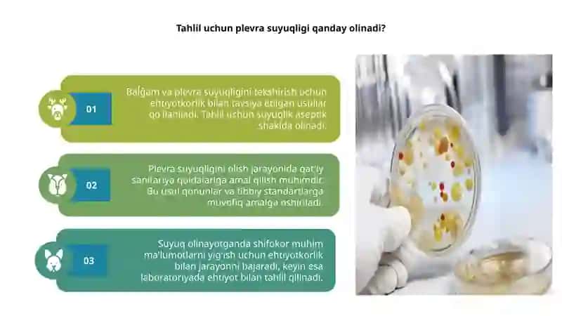 Baĺĝam va plevra suyuqligini tekshirish usullari 4