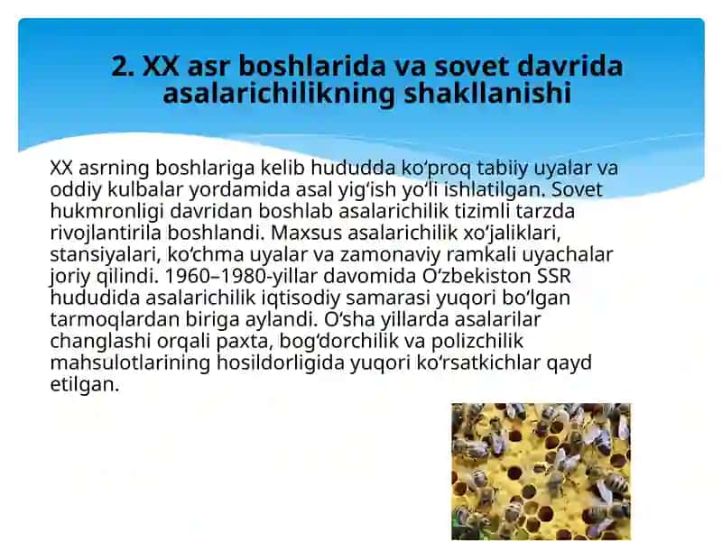 O'zbekistonda asalarichilikning rivojlanish tarixi va hozirgi holati 4