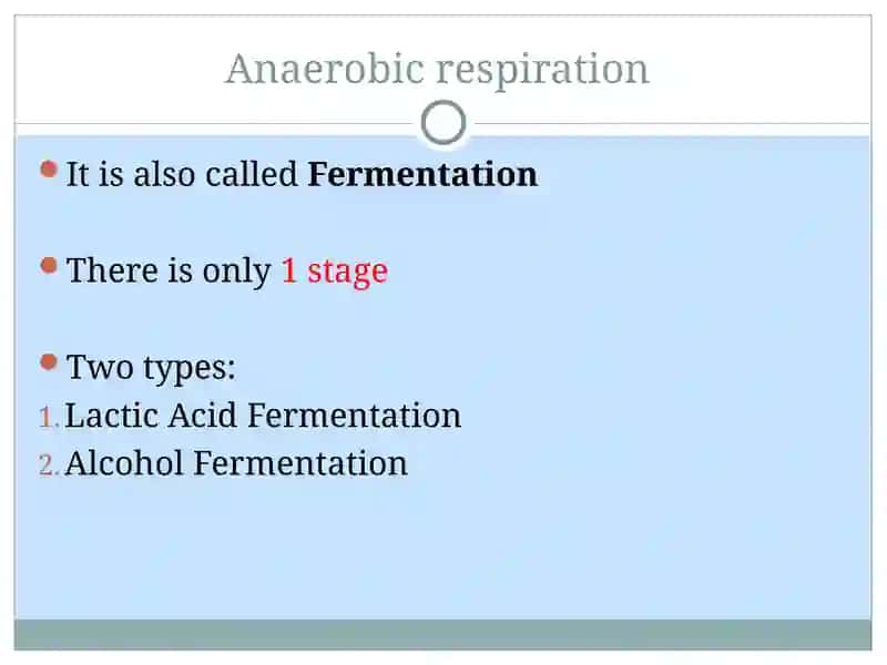 Respiration 4