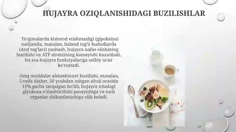 Hujayraning oziqlanishi 4