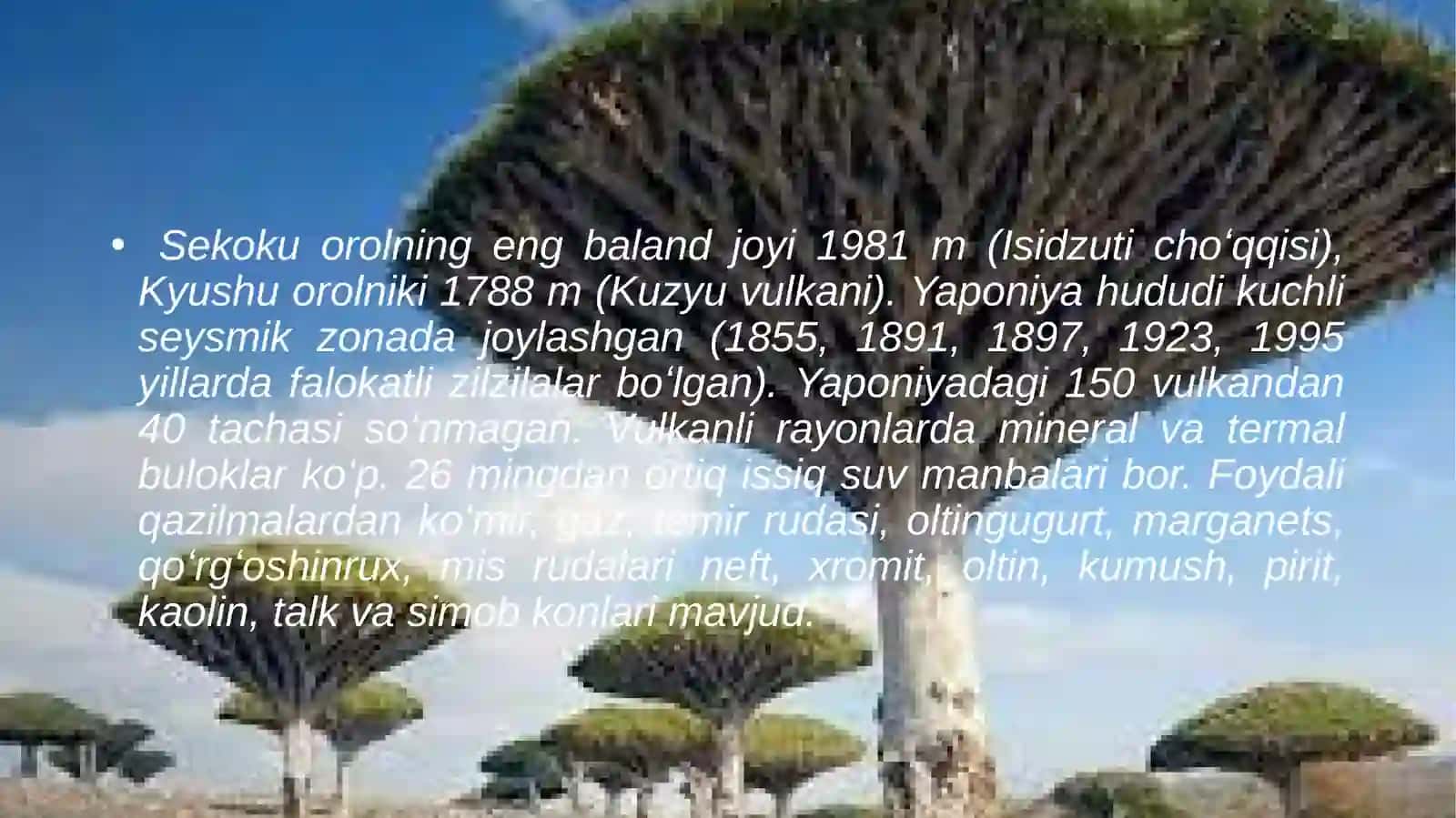 YAPONIYA HAQIDA MA’LUMOT 4