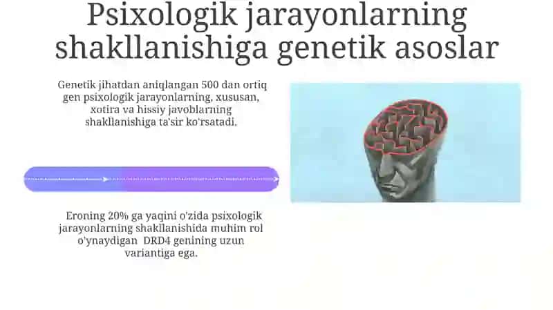 Psixik jarayonlarning shakillanishi 4