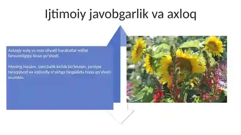 Meniń iqtisodiyotga ta'siri 4