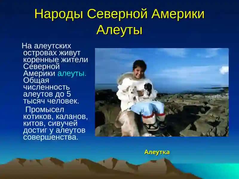 Историко-этнологическое описание американских народов 4