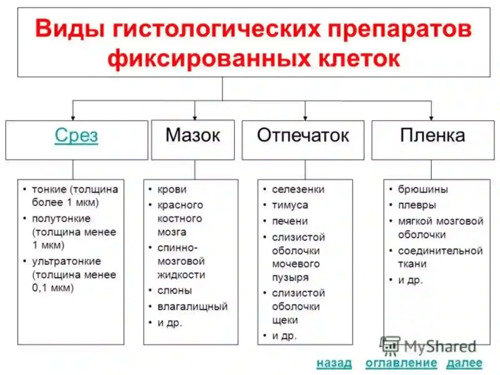 Основные методы гистологического исследования 4