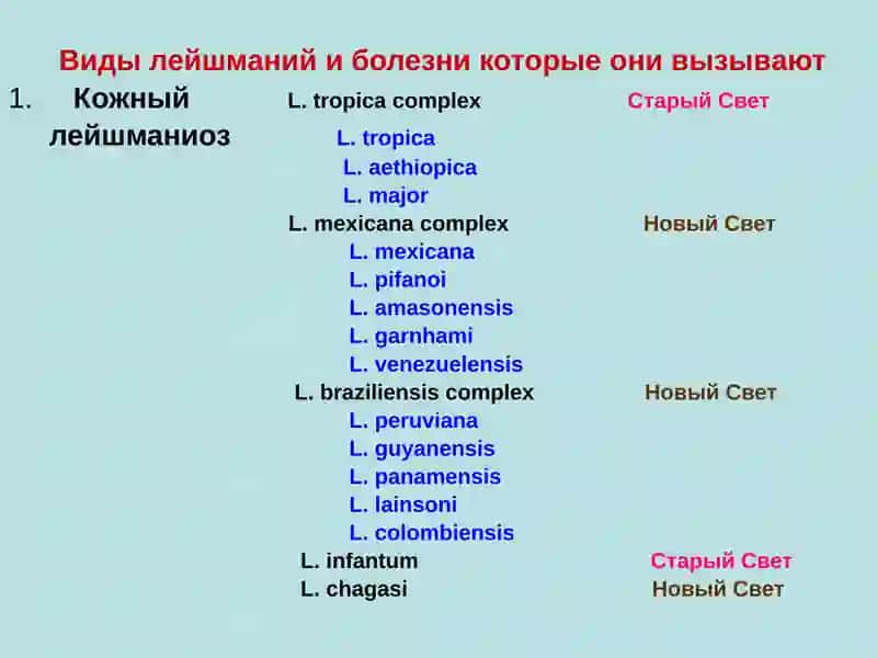 Laboratornaya diagnostika i kharakteristika vozbuditeley gribkovykh zabolevaniy (poverkhnostnykh i g 4
