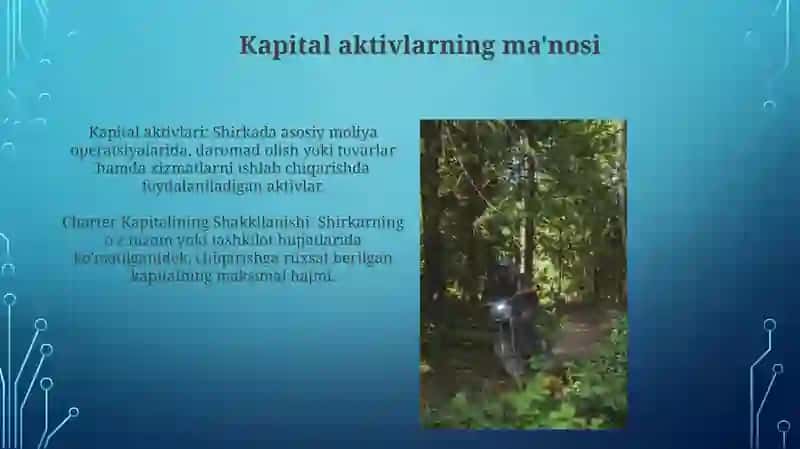 Ustav Kapitalini Shakllantirish Va Uni Hisobga Olish 4
