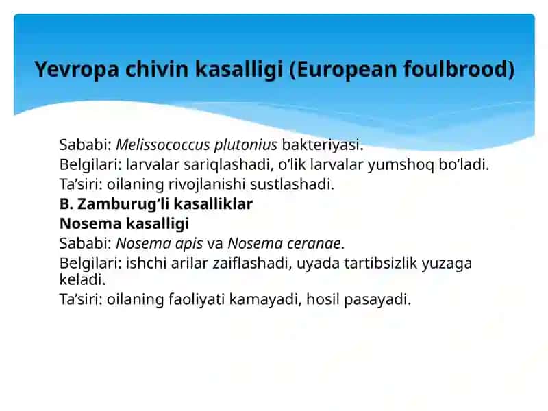 Asalarilarda uchraydigan kasalliklar va zararkunandalardan muhofaza qilish choralari 4