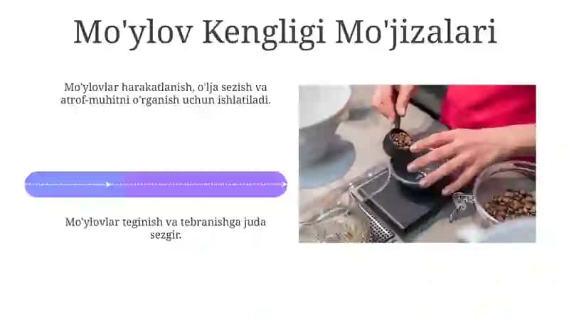 Kattaliklarning birliklari 4