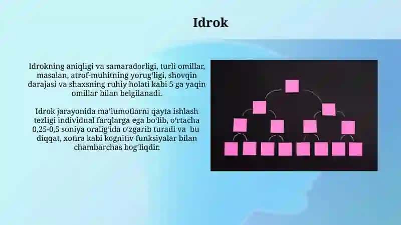 Bilish jarayonlarinig qisqacha tasnifi 4