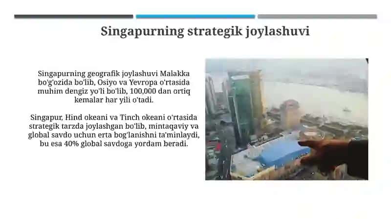 Singapurning global transport va logistika markazi sifatidagi roli 4