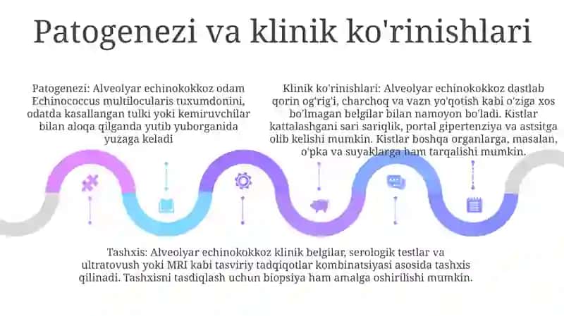 Alveokokkoz 4