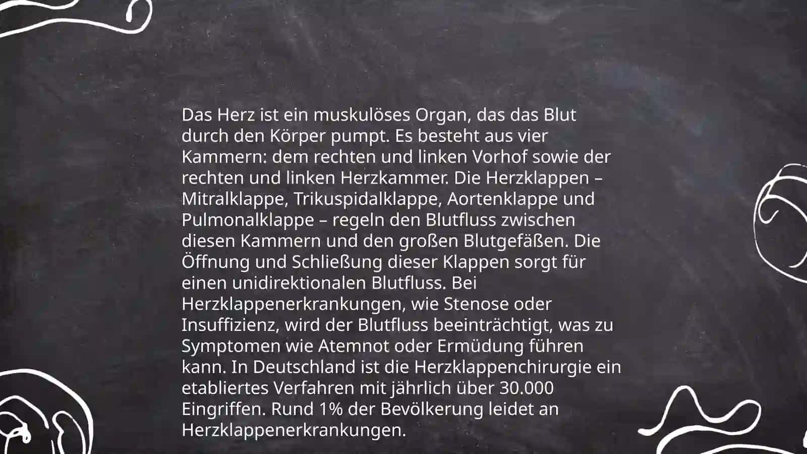 Herz und Blutkreislauf 4