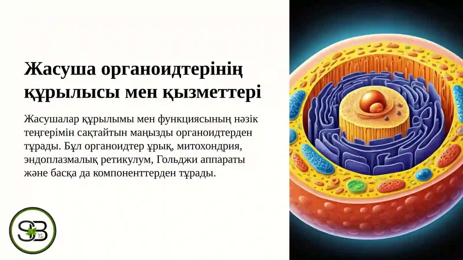 Психологиялық ахуал қалыптастыру 4