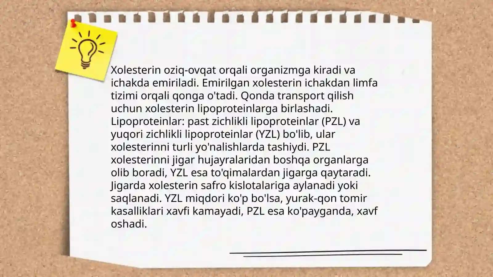 Murakkab lipidlar almashinuvi. Xolesterin metabolizmi. Yoglar almashinuvini boshqarilishi 4
