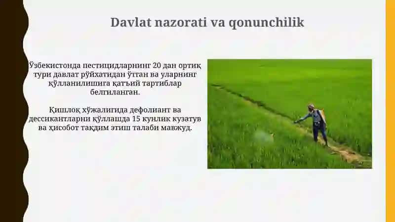 Pestitsidlarni qishloq xo'jaligida ishlatilishi. Defoliant va deksikantlar 4